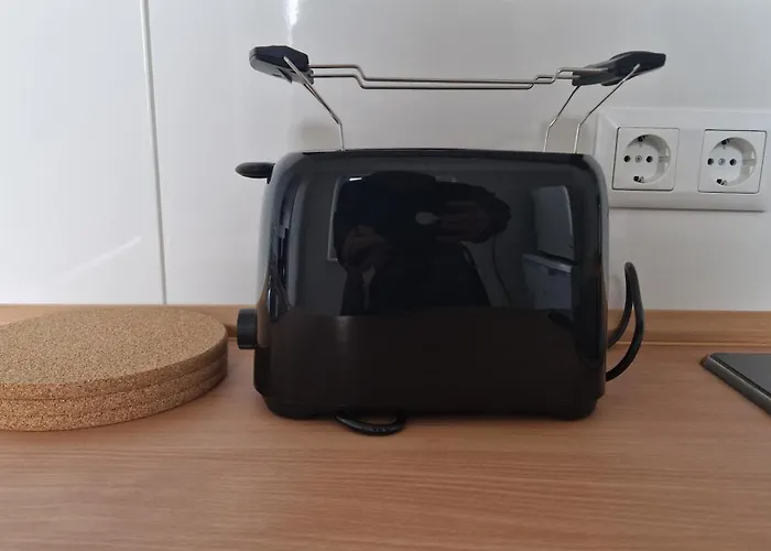 I Schoene In Bingen Mit Phantastischem Blick Auf Nahe Fuer Monteure-a Apartment Bingen am Rhein